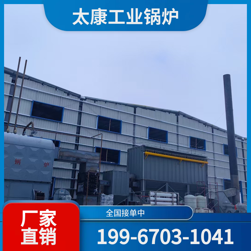 攀枝花电加热导热油锅炉